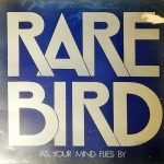 Rare Bird – As Your Mind Flies By LP Plak
