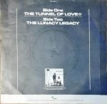 Fun Boy Three – The Tunnel Of Love 45lik Plak - Görsel 4