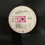 Acoustic Garden LP Plak - Görsel 2