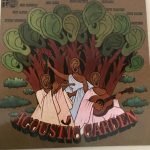 Acoustic Garden LP Plak