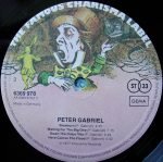 Peter Gabriel – Peter Gabriel 1 LP Plak - Görsel 4