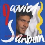 David Sanborn – A Change Of Heart CD