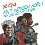 B.B. King – Ain't Nobody Home! The Very Best Of BB King CD