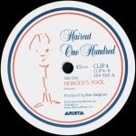 Haircut One Hundred – Nobody's Fool 45lik Plak - Görsel 3