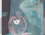 DJ Shadow – The Private Press CD - Görsel 3