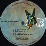 The Incredible String Band – Relics Of The Incredible String Band 2LP Plak - Görsel 4