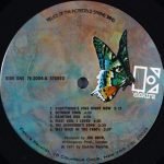 The Incredible String Band – Relics Of The Incredible String Band 2LP Plak - Görsel 3