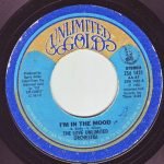 The Love Unlimited Orchestra – I Wanna Boogie And Woogie With You 45lik Plak