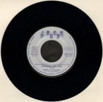 Gilda E Il Suo Gruppo – Ragazza Del Sud 45lik Plak (Participant song at XXV "Festival di Sanremo") - Görsel 2