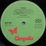 Wild Turkey – Turkey LP Plak - Görsel 3