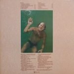 Jimmy Buffett – Changes In Latitudes Changes In Attitudes LP Plak - Görsel 2