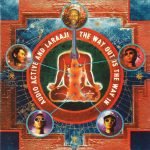 Audio Active And Laraaji – The Way Out Is The Way In CD