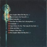 Audio Active And Laraaji – The Way Out Is The Way In CD - Görsel 2