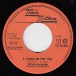 Stevie Wonder – A Place In The Sun 45lik Plak - Görsel 2