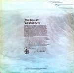 Manfred Mann's Earth Band – The Good Earth LP Plak - Görsel 6