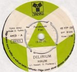 Delirium – Haum! / Dubbio 45lik Plak - Görsel 2