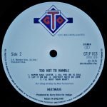 Heatwave – Too Hot To Handle LP Plak - Görsel 4