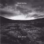 David Darling – Dark Wood CD