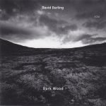 David Darling – Dark Wood CD