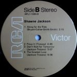 Shawne Jackson – Shawne Jackson LP Plak - Görsel 4