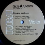Shawne Jackson – Shawne Jackson LP Plak - Görsel 3