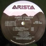 Annie Lennox – Little Bird 12'' Maxi Single Plak - Görsel 2