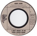 Andy Gibb – I Just Want To Be Your Everything / In The End 45lik Plak - Görsel 3