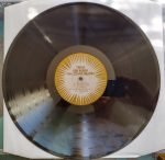 Jane Weaver – The Silver Globe LP Plak SIFIR - Görsel 4