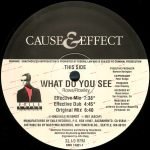 Cause & Effect – What Do You See 12'' Maxi Single Plak - Görsel 3