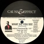 Cause & Effect – What Do You See 12'' Maxi Single Plak - Görsel 4