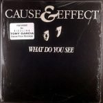 Cause & Effect – What Do You See 12'' Maxi Single Plak