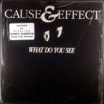 Cause & Effect – What Do You See 12'' Maxi Single Plak