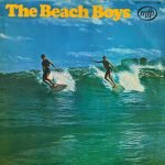 The Beach Boys LP Plak