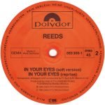 Reeds – In Your Eyes 12'' Maxi Single Plak (Italo Disco ) - Görsel 4