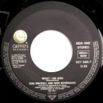 Edie Brickell & New Bohemians – What I Am 45lik Plak - Görsel 3
