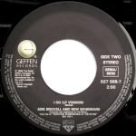 Edie Brickell & New Bohemians – What I Am 45lik Plak - Görsel 4