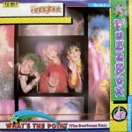 We've Got A Fuzzbox And We're Gonna Use It !! – What's The Point (The Bostinous One) 12'' Maxi Single Plak