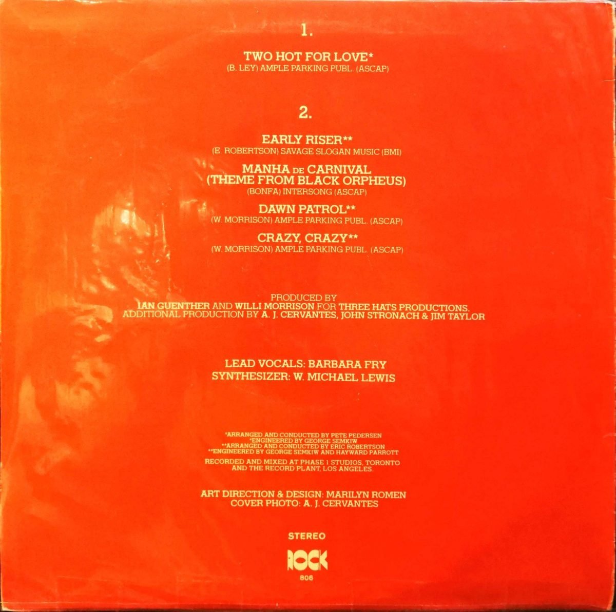 THP Orchestra – Two Hot For Love LP Plak - Görsel 2