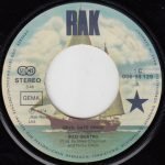 Suzi Quatro – Devil Gate Drive 45lik Plak - Görsel 2