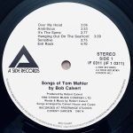 Robert Calvert – Hype LP Plak - Görsel 3