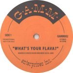Craig David / Brandy – What's Your Flava? / What About Us 12'' Maxi Single Plak