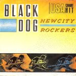 Newcity Rockers – Black Dog 45lik Plak