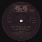 Falco – Vienna Calling (The Incredible Grand »Tour De Vienna« Live Mix) (Tourist-Version) 12'' Maxi Single Plak - Görsel 4