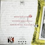 INXS – Never Tear Us Apart 12'' Maxi Single Plak - Görsel 3