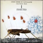 Jean-Claude Roché – Insectes 45lik Plak (Böcek Sesleri)