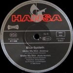 Blue System – Under My Skin 12'' Maxi Single Plak - Görsel 4