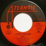 Chic – I Want Your Love 45lik Plak - Görsel 2