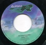 The Nighthawks – Patsy Girl 45lik Plak (Ska) - Görsel 2