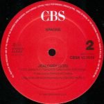 Spagna – Easy Lady (Club Remix) 12'' Maxi Single Plak - Görsel 4