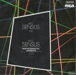 Sensus 45lik Plak - Görsel 3
